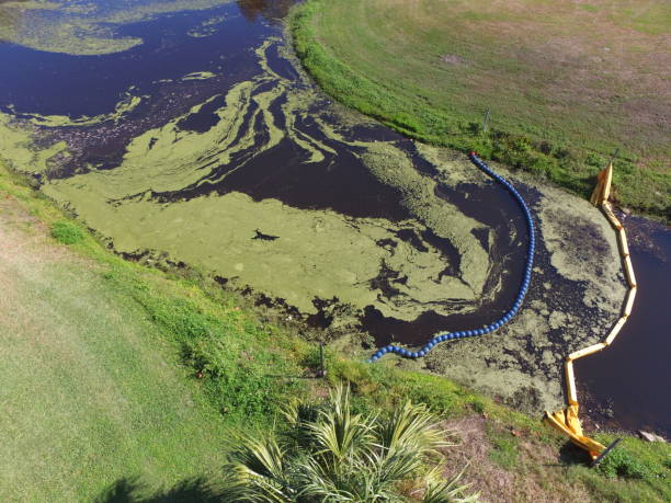 drone image aérienne d’une floraison algale dans un étang de rétention pollué - retention pond photos et images de collection