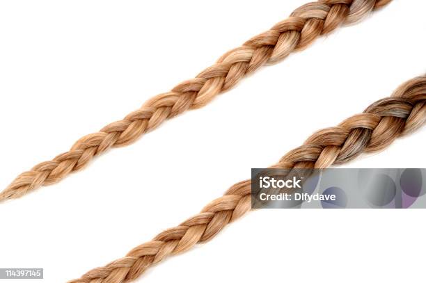 Cabelo Plaits - Fotografias de stock e mais imagens de Trançado - Trançado, Fundo Branco, Cabelo Humano