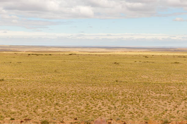 istock Mongolian landscape in the Gobi desert 1143972964