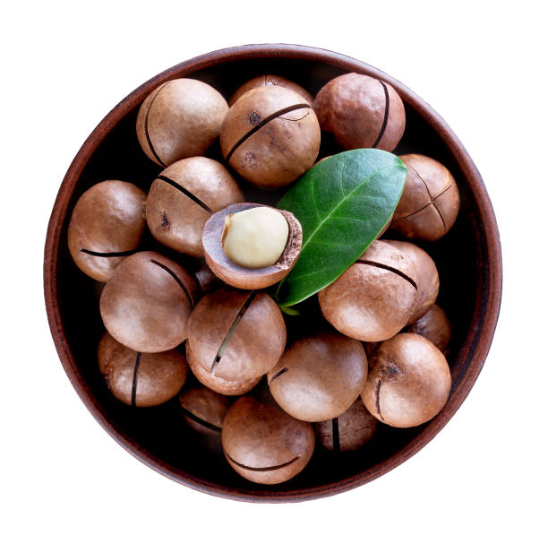Australian macadamia nut with green leaf in brown clay plate