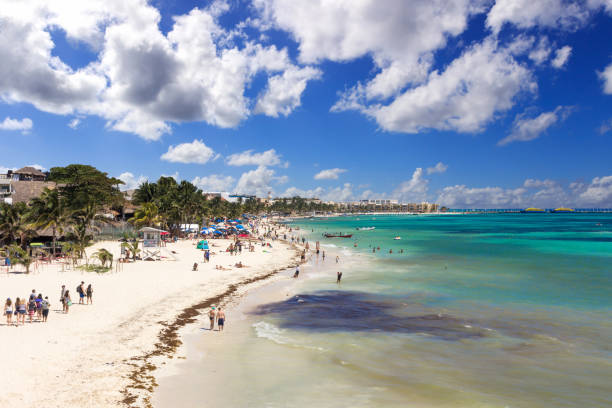 istock Beach on Playa del Carmen, Mexico 1143977103