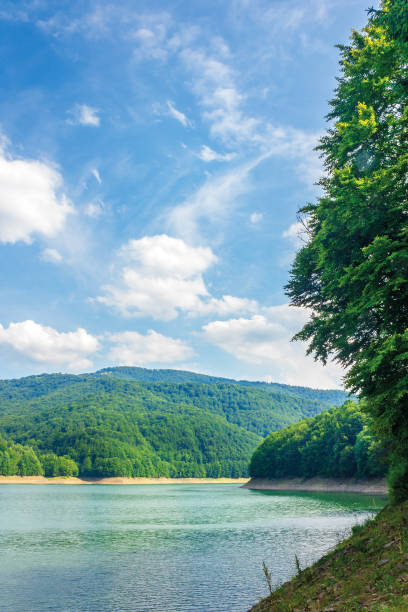 istock water storage reservoir in mountains 1143977450