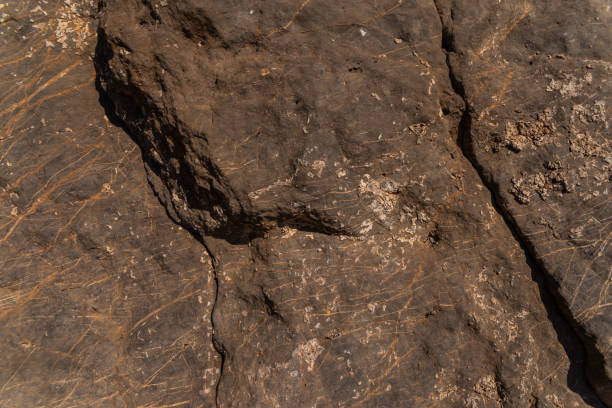 istock mineral material surface closeup with natural pattern for design and decoration 1143981298
