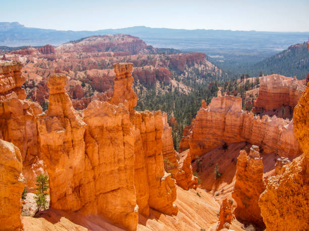istock bryce national park close up with blue skies 1143981365
