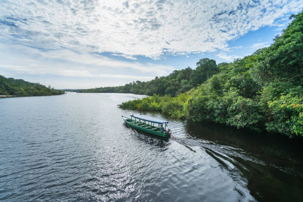 boot am nebenfluss des rio negro - amazonia stock-fotos und bilder