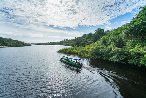 Barco en el afluente del río Río Negro photo