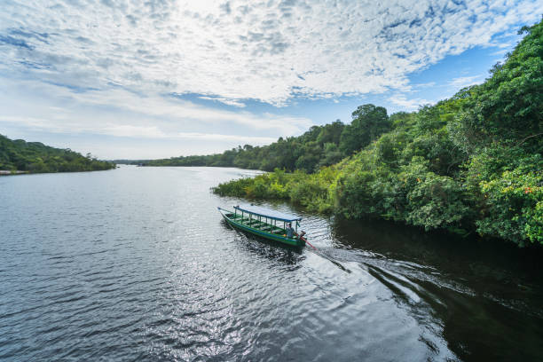 bateau sur le tributaire de la rivière rio negro - brazil environment nature sunlight photos et images de collection