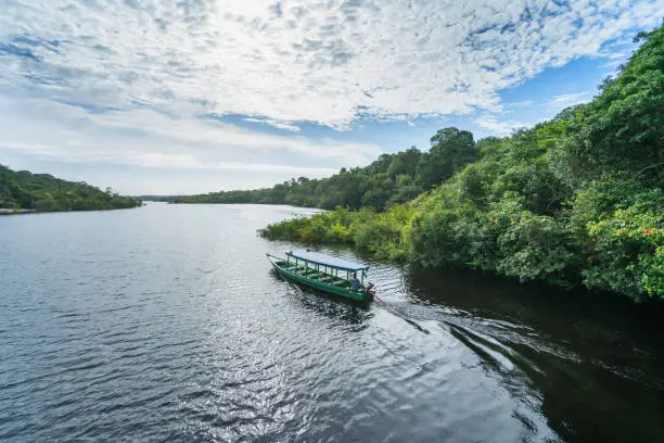 A traditional boat used for transportation purposes on the river Rio Negro