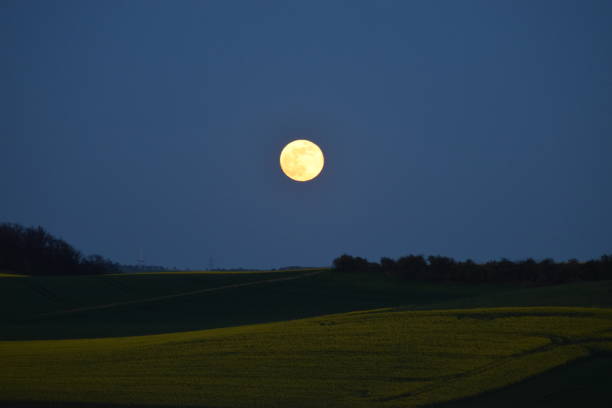 istock full moon over yellow oil seed fields 1143986762