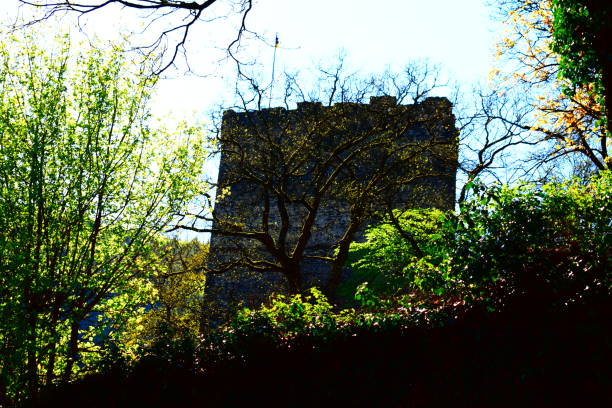 istock castle ruin Altwied tower 1143986972