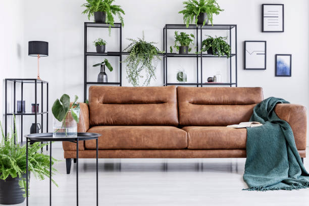 istock Open book and dark green blanket on comfortable brown leather couch, black metal shelf with plants and decorations behind it 1143987621