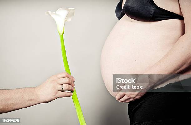 Calla Lily For A Pregnant Woman Stock Photo - Download Image Now - Adult, Baby - Human Age, Color Image