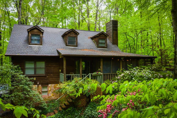 istock The forest brings privacy back to this home. 1143992718