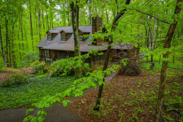 istock Log home hidden in the city 1143992732
