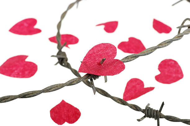 istock Red Paper Heart Shape Caught On Barbed Wire Spike 114399470