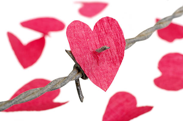 istock Red Paper Heart Shape Caught On Barbed Wire Spike 114399513