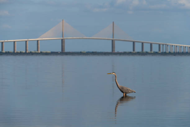 Landscape near St. Petersburg in Florida