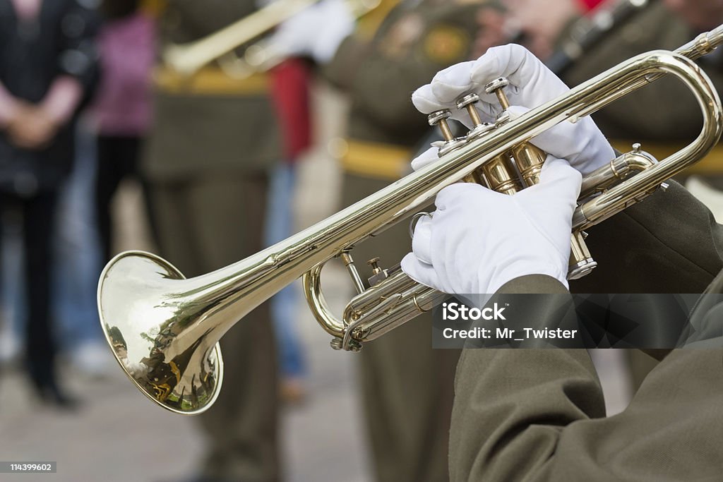 Trumpeters - Foto de stock de Adulto libre de derechos