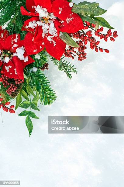 ポインセチアとベリーの背景に雪のクリスマスのリース - ポインセチアのストックフォトや画像を多数ご用意 - ポインセチア, 飾り リース, カラー画像