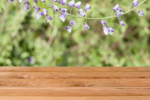 istock wooden table and green background 1144000913
