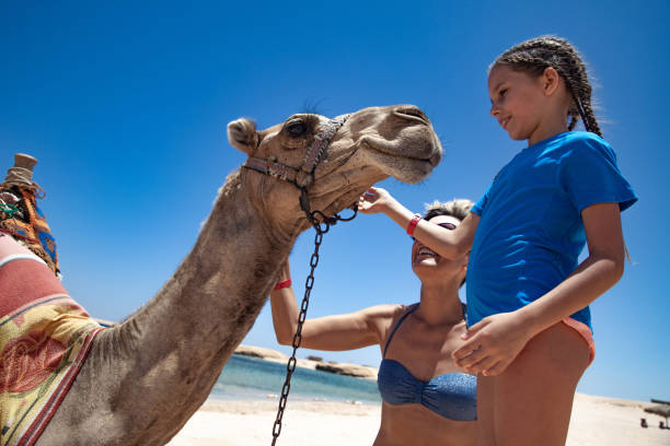 istock Mother and Daughter Bonding With a Camel 1144002832