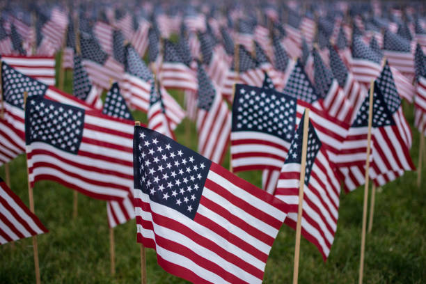 istock A field of American Flags 1144002873