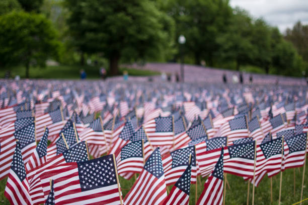 istock A field of American Flags 1144002875
