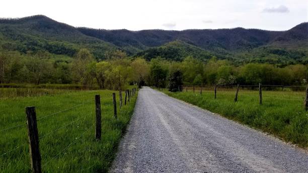 istock Country Road Fence 15 1144003132