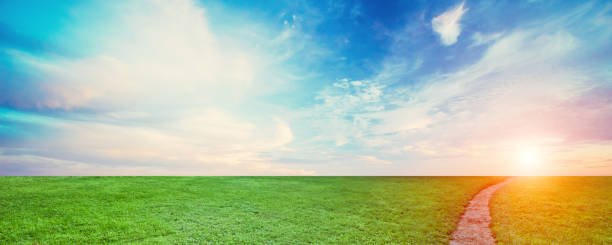 istock Natural field landscape, sky and clouds 1144004094