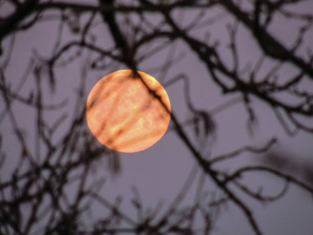 Pink Full Moon Selective Focus stock photo