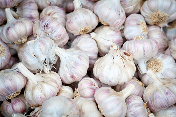 istock Garlic bulbs at a market 114401776
