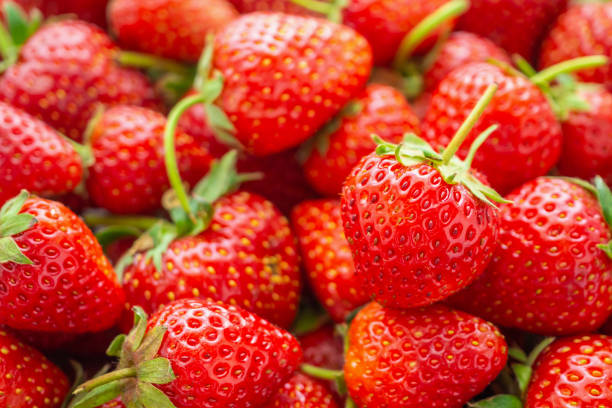 istock Fresh organic red ripe Strawberry fruit background closeup 1144031848