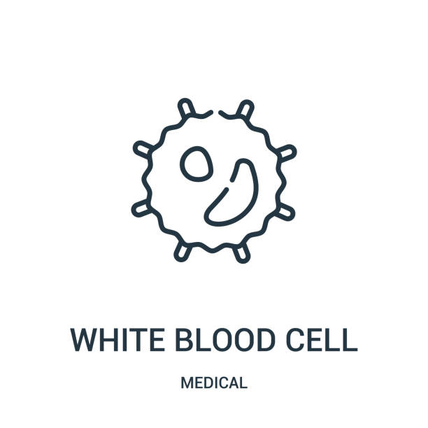 illustrations, cliparts, dessins animés et icônes de vecteur d’icône de globules blancs de la collection médicale. fine ligne blanc cellule de sang contour icône vecteur illustration. - blood blood cell cell human cell