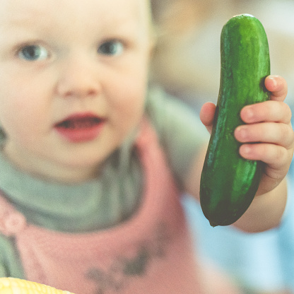 Adorable little toddler girl, age 18 months, holds up a bright green cucumber. she is curious about the strange raw organic vegetable and she explores it with her senses. Learning about healthy foods and a healthy lifestyle early and learning about the sizes and shapes and textures of natural things