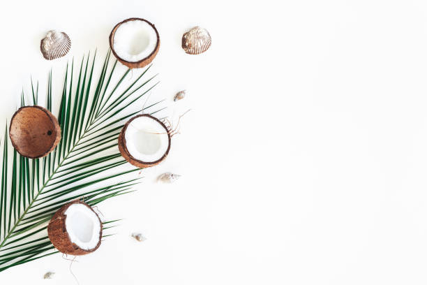 istock Summer composition. Tropical palm leaves, coconut on white background. Summer concept. Flat lay, top view, copy space 1144060269