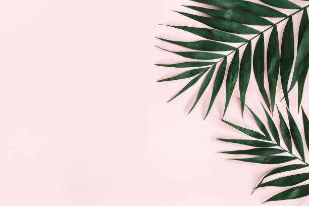 istock Summer composition. Tropical palm leaves on pastel pink background. Summer concept. Flat lay, top view, copy space 1144060431