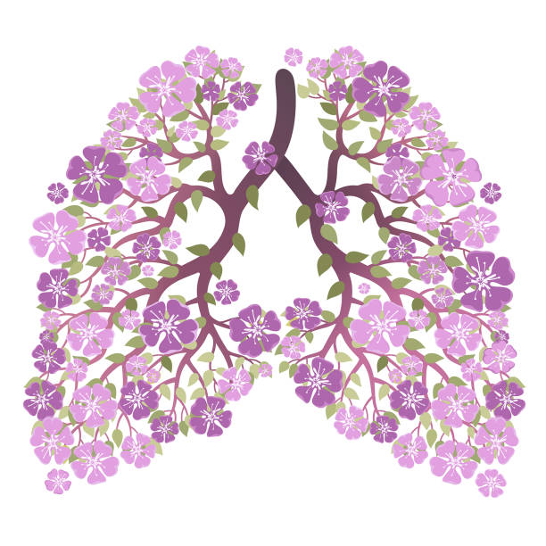 иллюстрация вектора охраны природы. - human lung healthy lifestyle healthcare and medicine green stock illustrations