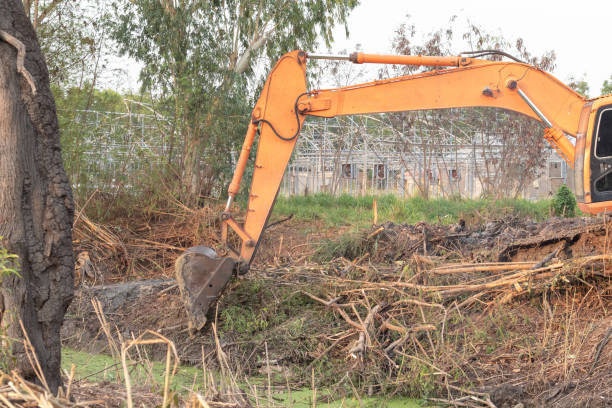 istock Excavator crawler in construction site build the pond 1144076115