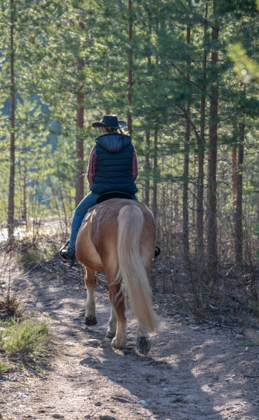 istock Cowgirl horseback riding 1144079647