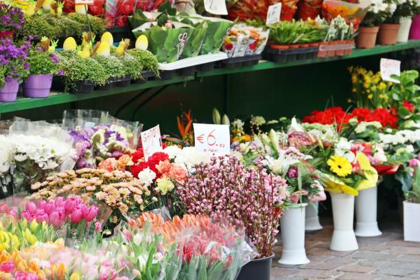 istock Buckets of flowers 1144080508