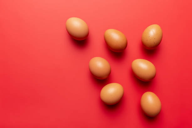 Red Eggshell 6,300+ Red Eggshell Stock Photos, Pictures & Royalty-Free Images - iStock