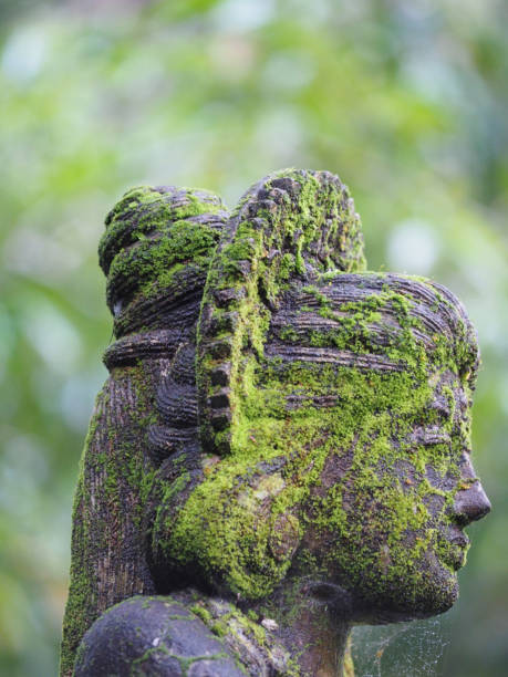 istock Indonesia Photography (Bali) 1144083294