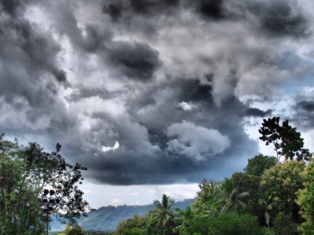 istock Indonesia Photography (Yogjakarta) 1144083376