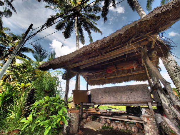 istock Indonesia Photography (Bali) 1144084355
