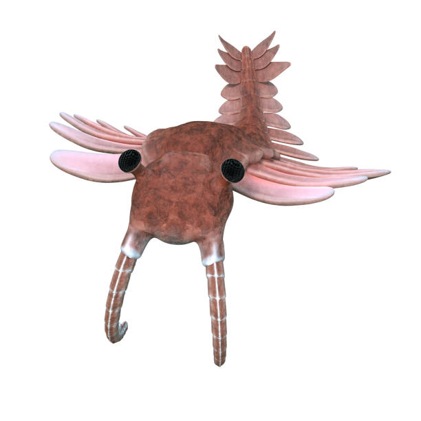 Anomalocaris, creature of the Cambrian period (3d paleoart illustration)