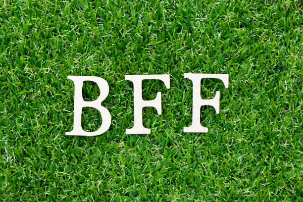 istock Wood letter block in word BFF (Abbreviation of best friend forever) on artificial green grass background 1144087304