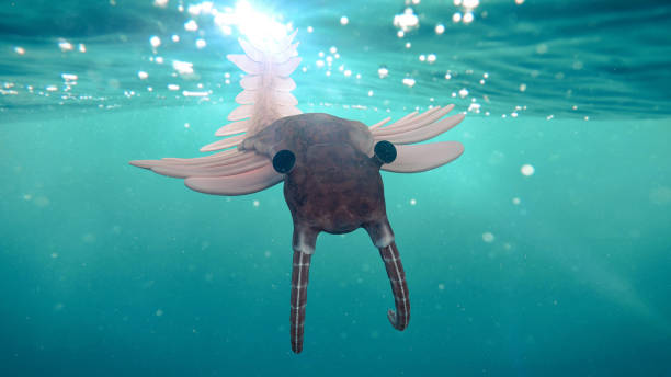 istock Anomalocaris, creature of the Cambrian period (3d science illustration) 1144089993