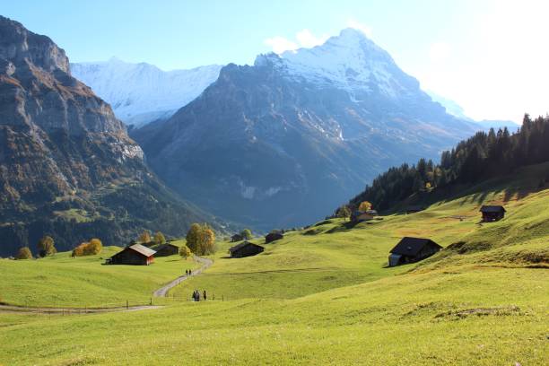 istock Amazing Swiss nature 1144098245