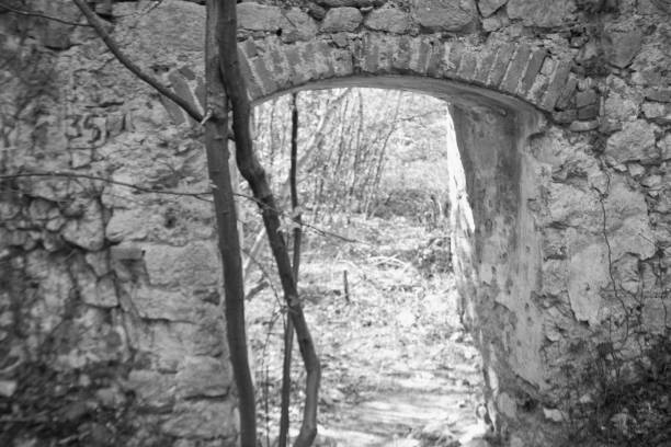 istock black and white castle ruin window old 1144098994