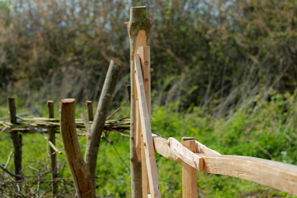 istock Shallow focus of a hand crafted, timber built gate section. 1144103159